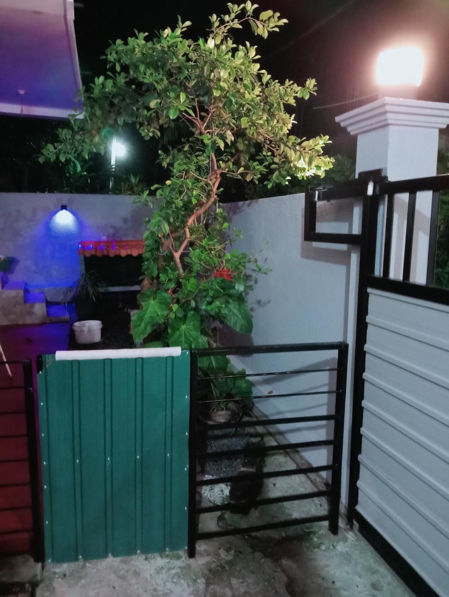 Great Yeheni Villa هيكادوفا المظهر الخارجي الصورة